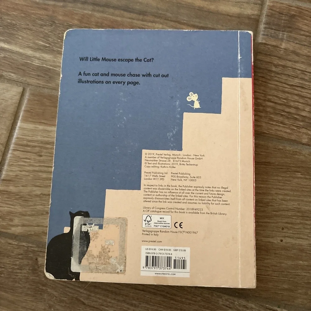 Cat and Mouse by Teckentrup,‎ Britta [Board book]